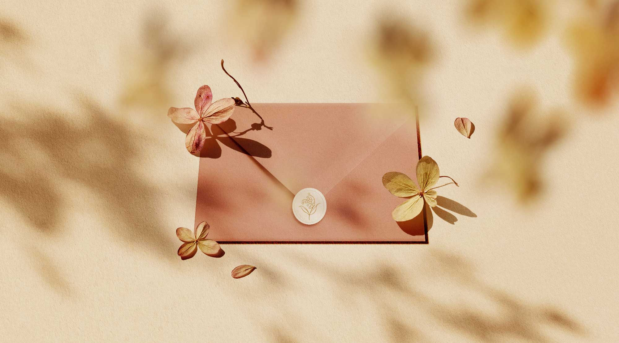Unfold Your Story